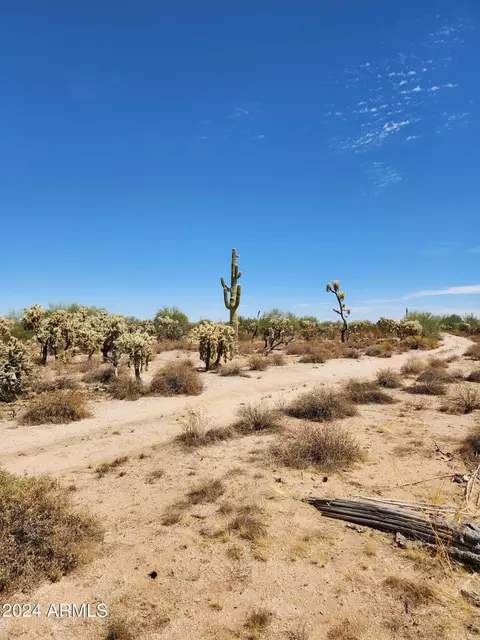 24800 E Bartlett Rd #NA, Florence, AZ 85132 photo 3