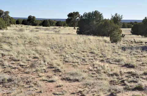 0 N9236 --, Snowflake, AZ 85937 photo 67
