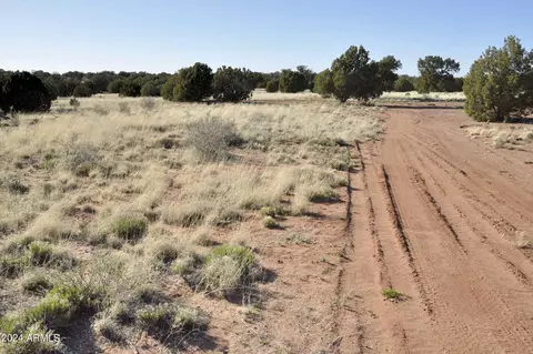 0 N9236 --, Snowflake, AZ 85937 photo 60