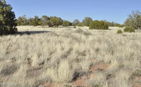 0 N9236 --, Snowflake, AZ 85937 photo 64