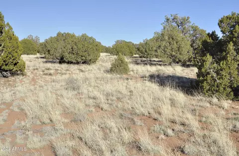 0 N9236 --, Snowflake, AZ 85937 photo 65