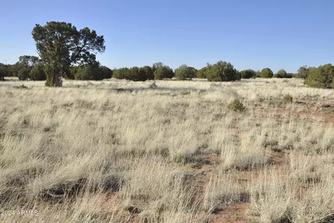 0 N9236 --, Snowflake, AZ 85937 photo 62