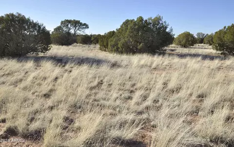 0 N9236 --, Snowflake, AZ 85937 photo 63