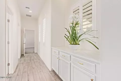 Entry Way - 10121 E Cintron Dr, Mesa, AZ 85212 photo 3 of 9