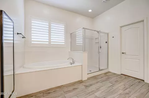 Bath - 10121 E Cintron Dr, Mesa, AZ 85212 photo 7 of 8