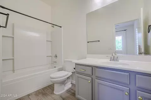 Bath - 10121 E Cintron Dr, Mesa, AZ 85212 photo 4 of 8