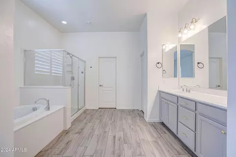 Bath - 10121 E Cintron Dr, Mesa, AZ 85212 photo 5 of 8