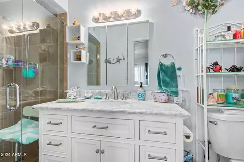 Bath - 1616 E 3rd Ave, Mesa, AZ 85204 photo 1 of 3