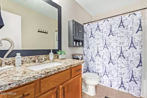 Bath - 9745 E Knowles Ave, Mesa, AZ 85209 photo 1 of 2