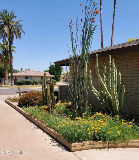 Exterior - 1119 E Balboa Dr, Tempe, AZ 85282 photo 3 of 14