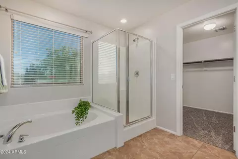 Bath - 913 Euclid Ave, Gilbert, AZ 85297 photo 4 of 6