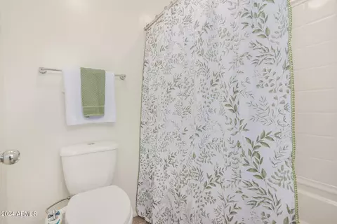 Bath - 913 Euclid Ave, Gilbert, AZ 85297 photo 6 of 6
