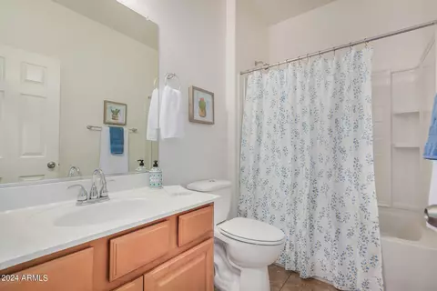Bath - 913 Euclid Ave, Gilbert, AZ 85297 photo 1 of 6
