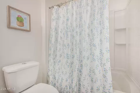 Bath - 913 Euclid Ave, Gilbert, AZ 85297 photo 2 of 6