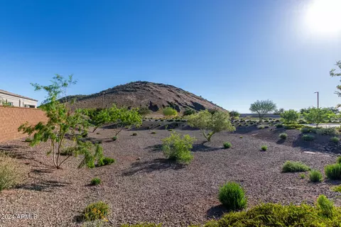 1925 E Robb Ln, Phoenix, AZ 85024 photo 53