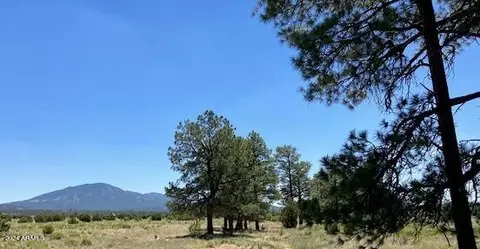 5303 N Red Mountain Rd #-, Williams, AZ 86046