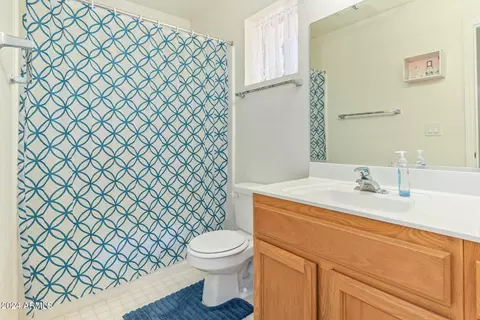 Bath - 10919 E Lindner Ave, Mesa, AZ 85209 photo 3 of 3