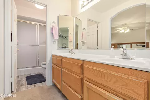Bath - 10919 E Lindner Ave, Mesa, AZ 85209 photo 1 of 3