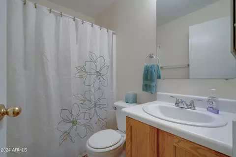 Bath - 1165 W 4th Ave, Apache Junction, AZ 85120 photo 7 of 8