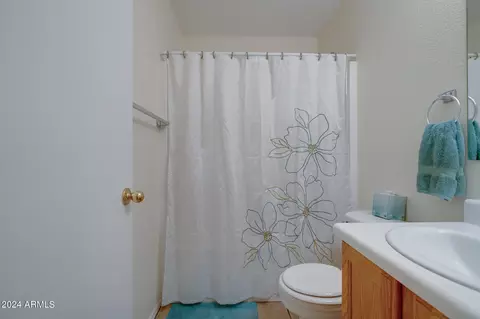 Bath - 1165 W 4th Ave, Apache Junction, AZ 85120 photo 8 of 8
