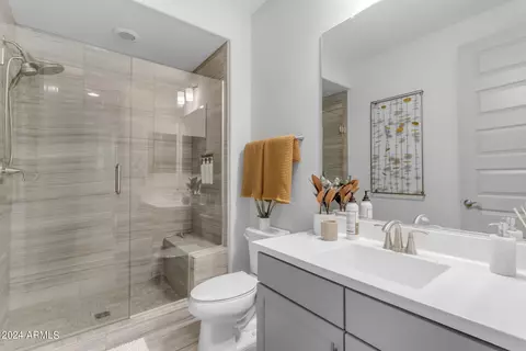 Bath - 2512 E Alta Vista Rd, Phoenix, AZ 85042 photo 1 of 5