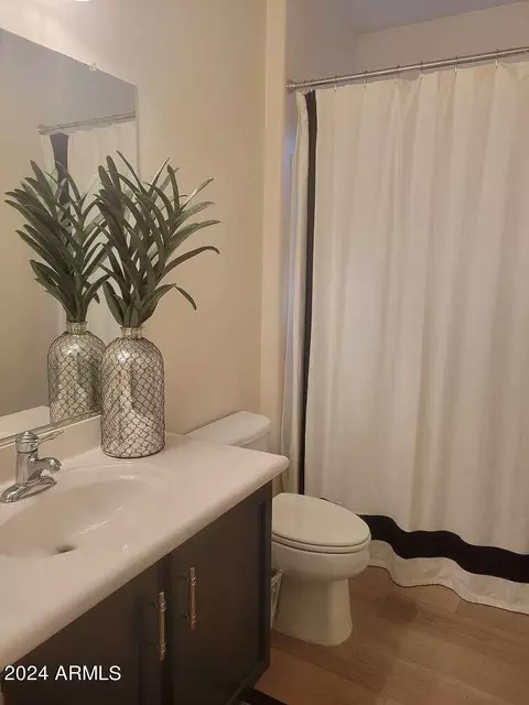 Bath - 1705 W Gambit Trl, Phoenix, AZ 85085 photo 1 of 5