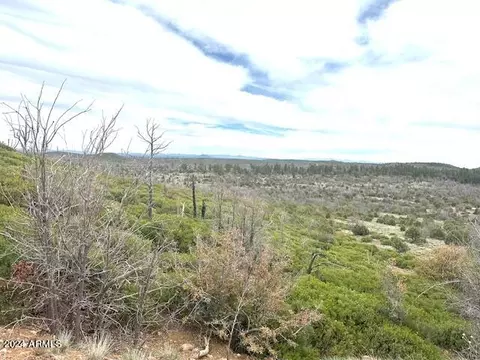00 Fieldy Rd #-, Show Low, AZ 85901