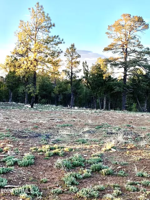 - Eskimo Lane #-, Heber, AZ 85928 photo 3