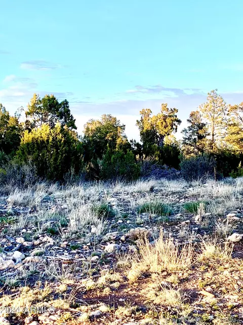 - Eskimo Lane #-, Heber, AZ 85928 photo 2