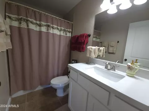 Bath - 150 Sandtrap Dr, Eagar, AZ 85925 photo 8 of 9
