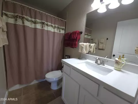 Bath - 150 Sandtrap Dr, Eagar, AZ 85925 photo 7 of 9