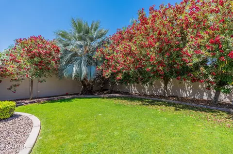 Exterior - 4531 E Stanford Ave, Gilbert, AZ 85234 photo 14 of 16