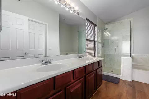 Bath - 445 S Peppertree Dr, Gilbert, AZ 85296 photo 1 of 4