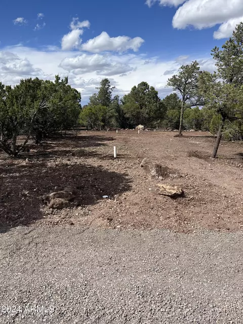 67 County Rd 8405 -- #3, Concho, AZ 85924 photo 8