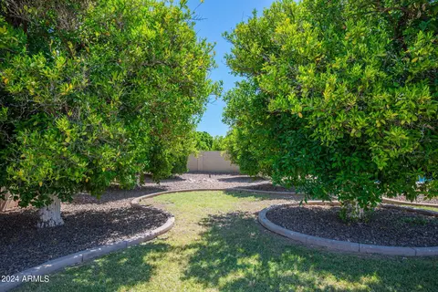 3458 E Norwood Cir, Mesa, AZ 85213 photo 55