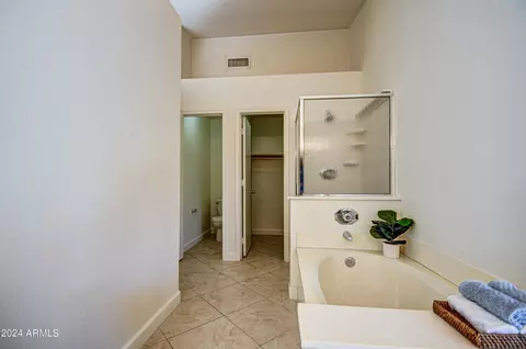 Bath - 1255 E San Angelo Ave, Gilbert, AZ 85234 photo 4 of 6