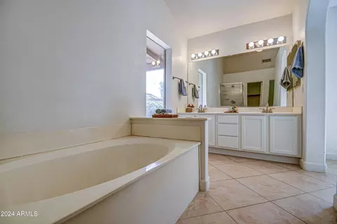 Bath - 1255 E San Angelo Ave, Gilbert, AZ 85234 photo 5 of 6