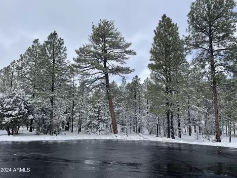 1640 S Iris Ln #383, Show Low, AZ 85901