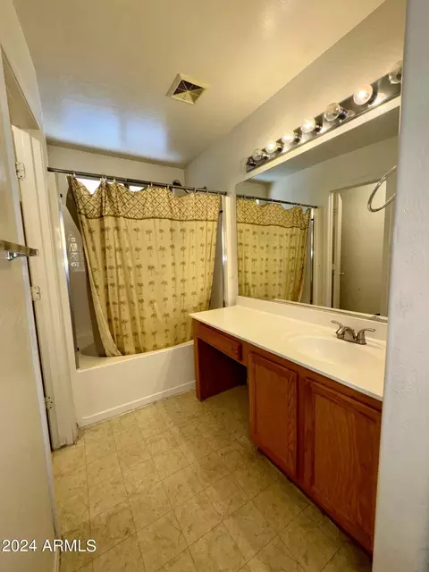 Bath - 3823 S Bowman Rd, Apache Junction, AZ 85119 photo 3 of 5