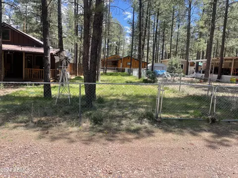 2961 Lone Star Dr, Overgaard, AZ 85933 photo 3