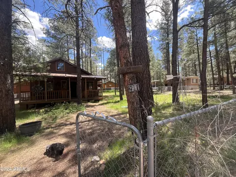 2961 Lone Star Dr, Overgaard, AZ 85933 photo 4
