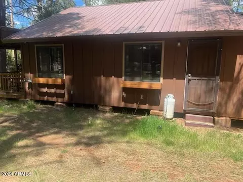 2961 Lone Star Dr, Overgaard, AZ 85933 photo 5