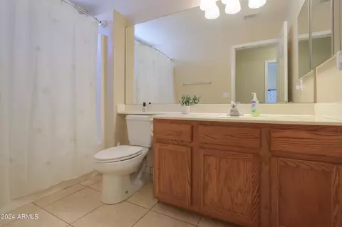 Bath - 1889 E Sagebrush St, Gilbert, AZ 85296 photo 3 of 6