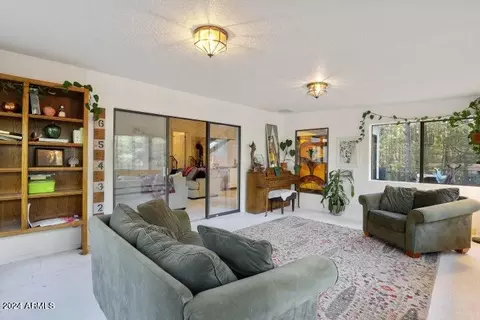 8729 W Emmas Vw, Pine, AZ 85544 photo 16