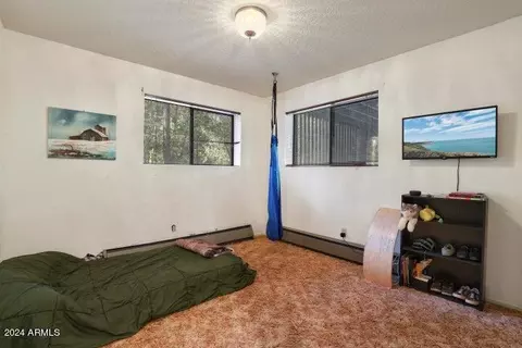 8729 W Emmas Vw, Pine, AZ 85544 photo 21