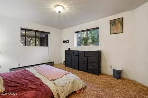 8729 W Emmas Vw, Pine, AZ 85544 photo 24