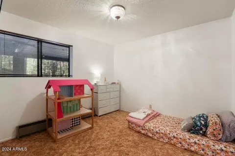 8729 W Emmas Vw, Pine, AZ 85544 photo 28