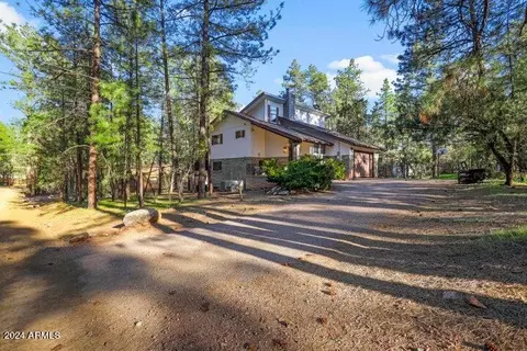 8729 W Emmas Vw, Pine, AZ 85544 photo 41