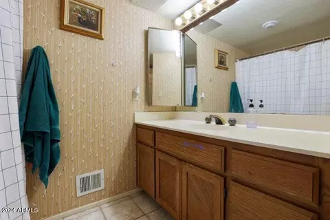8729 W Emmas Vw, Pine, AZ 85544 photo 20