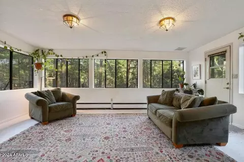 8729 W Emmas Vw, Pine, AZ 85544 photo 15